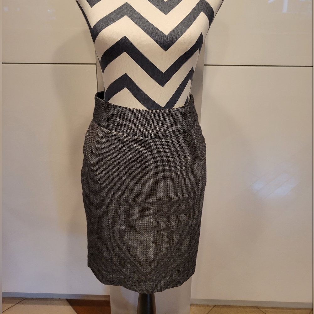 Banana Republic Skirt Size 0P